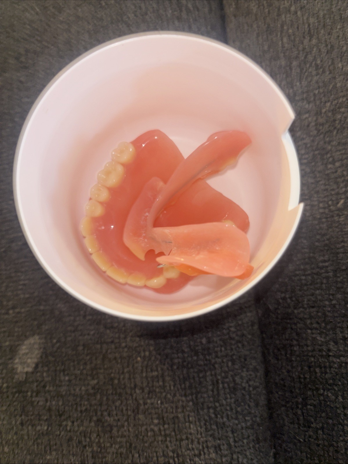 Dentures & Bridge In Great Condition