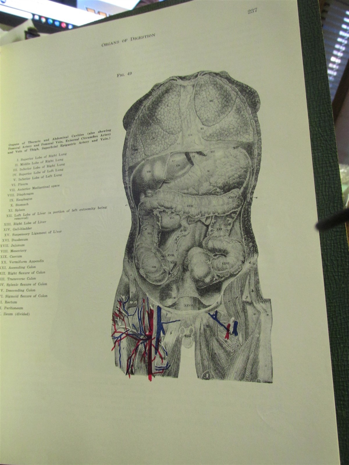 The Art & Science of Embalming by A.O. Spriggs The Champion Co. 1954 Book