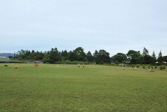 galeria-camposanto-cartago-01