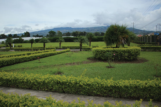 galeria-camposanto-cartago-04