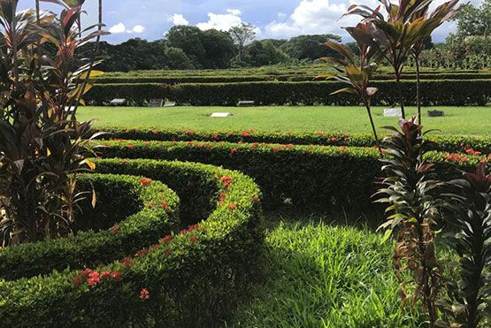 galeria-camposanto-puntarenas--04